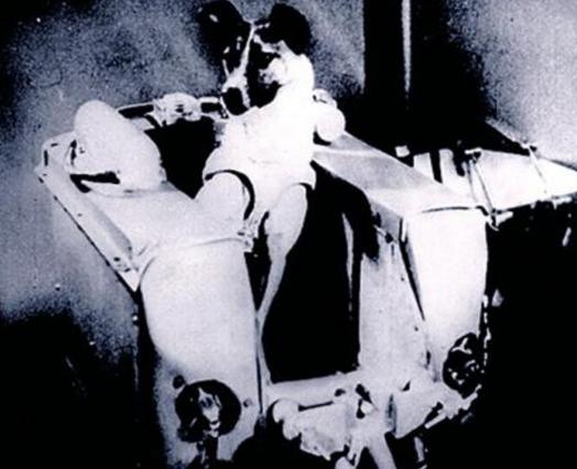 人类第1个进入太空的宇航员,动物界十大太空宇航员