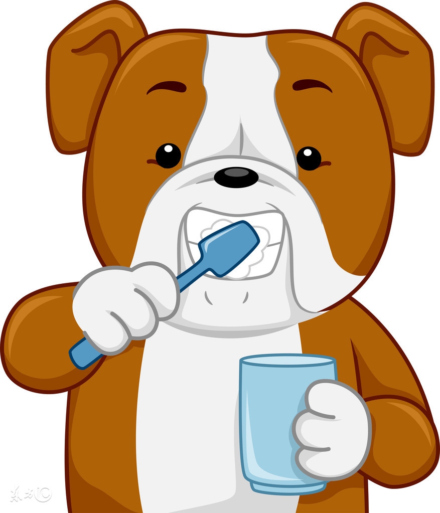 2018狗年狗人运程,狗年狗人运势70年