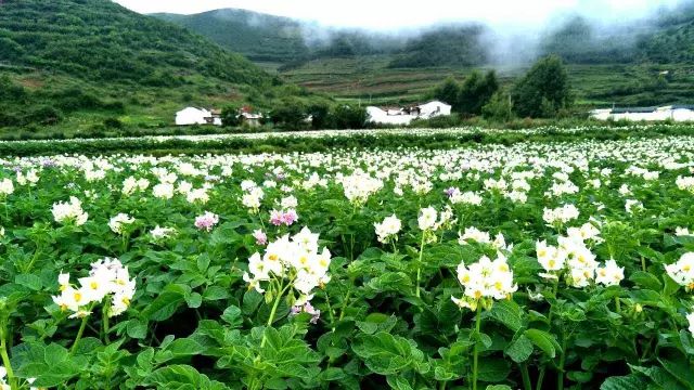 墨脱有多神秘,墨脱一条真正的天路