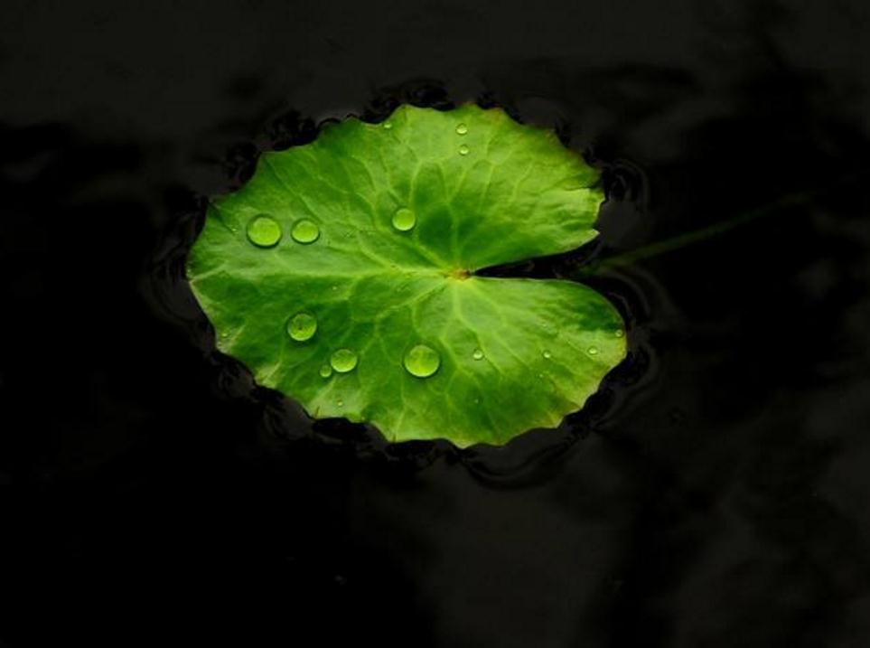 做人别太奸早晚得翻船,做人一定要当心一点