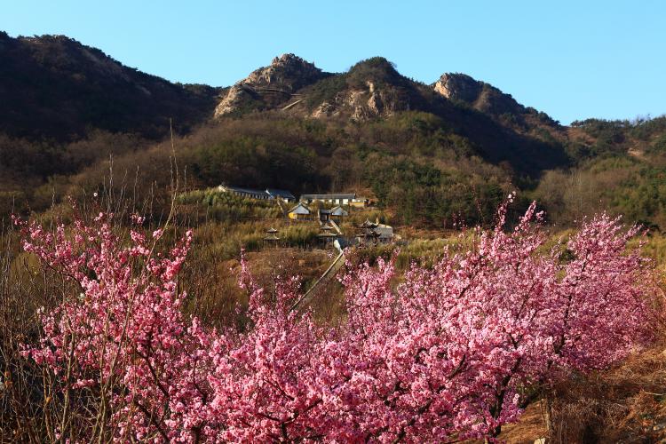 海阳的国际盛会,海阳国际赛事