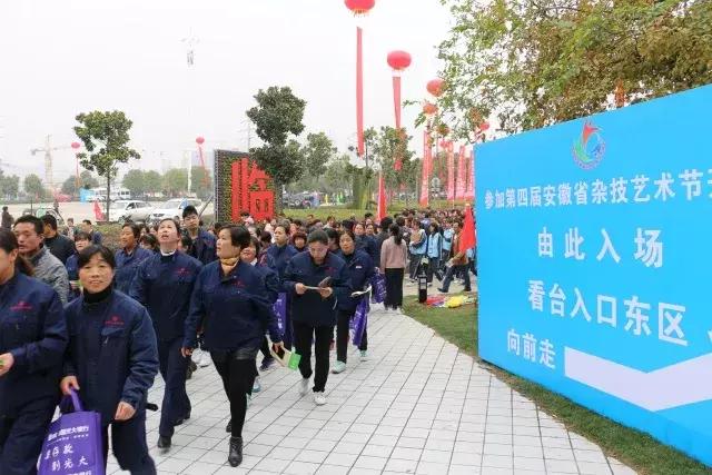 临泉乐翻天,临泉体育场球赛直播