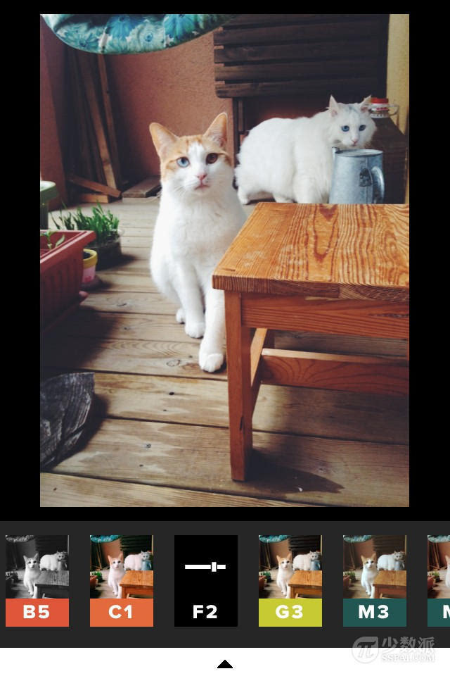 灏忎紬鍐烽棬鐨勭煭瑙嗛app,5娆惧皬浼楀張閫兼牸婊℃弧鐨勫疄鐢╝pp