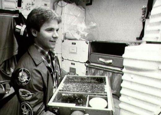 人类第1个进入太空的宇航员,动物界十大太空宇航员