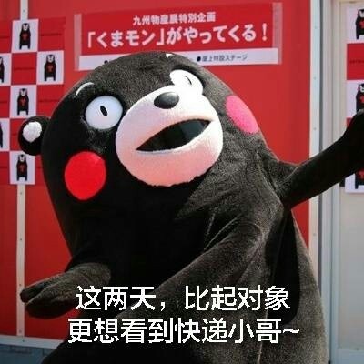 王卫顺丰快递是怎么来的,顺丰快递王卫谈为什么快