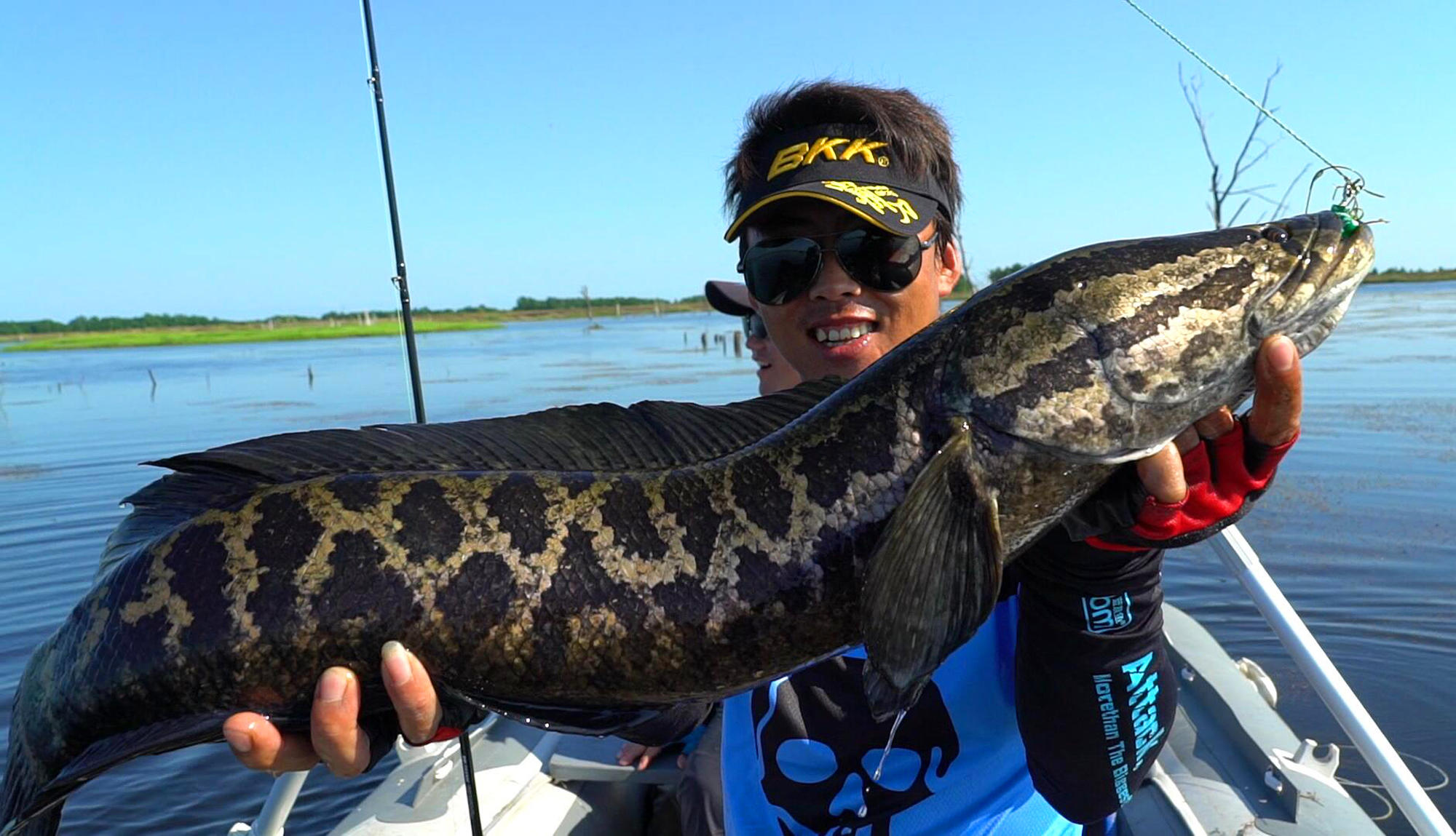 怪兽远征好玩吗,怪兽远征好玩么