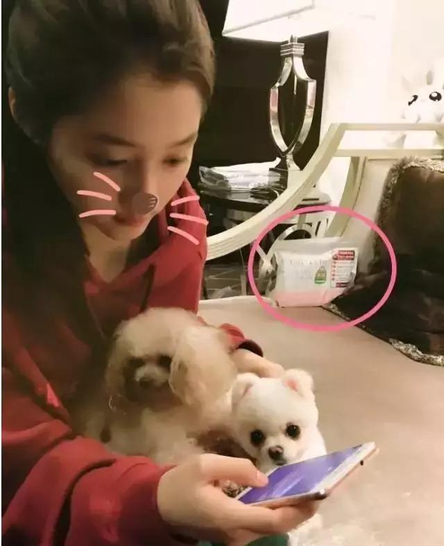 这么牛逼，这么嚣张？还敢抢范爷的风头？原来是你……