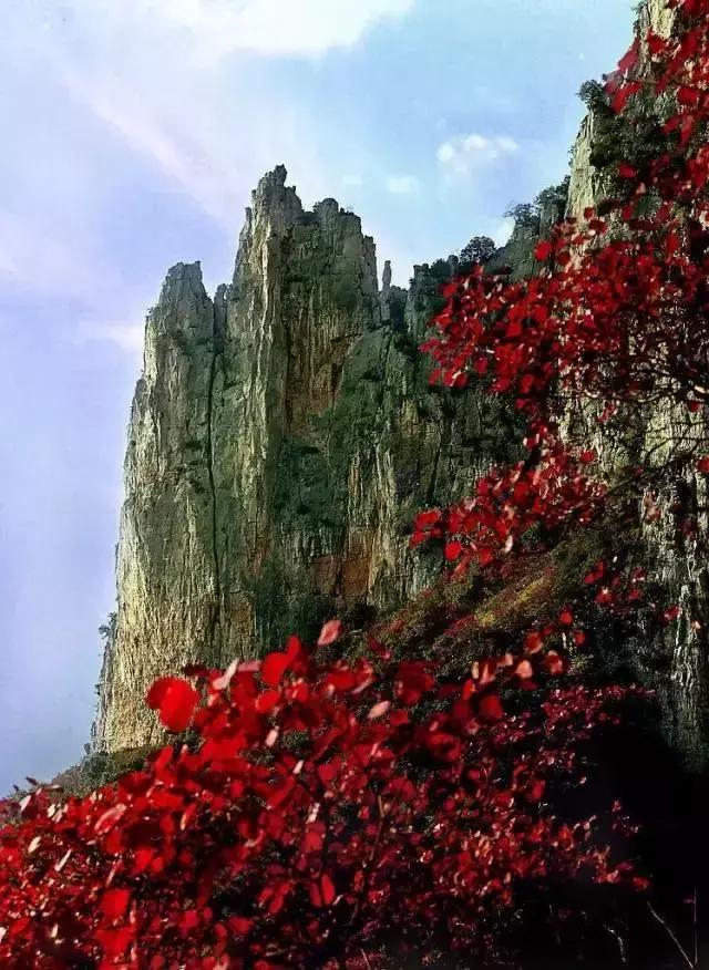 重庆让人着迷的城市,重庆一个充满火锅味的城市