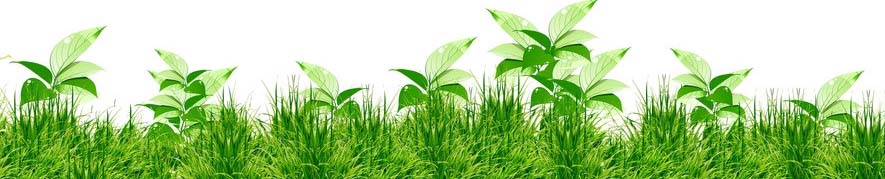 紫外线消毒灭菌注意事项,紫外线消毒和蒸汽消毒哪个更安全