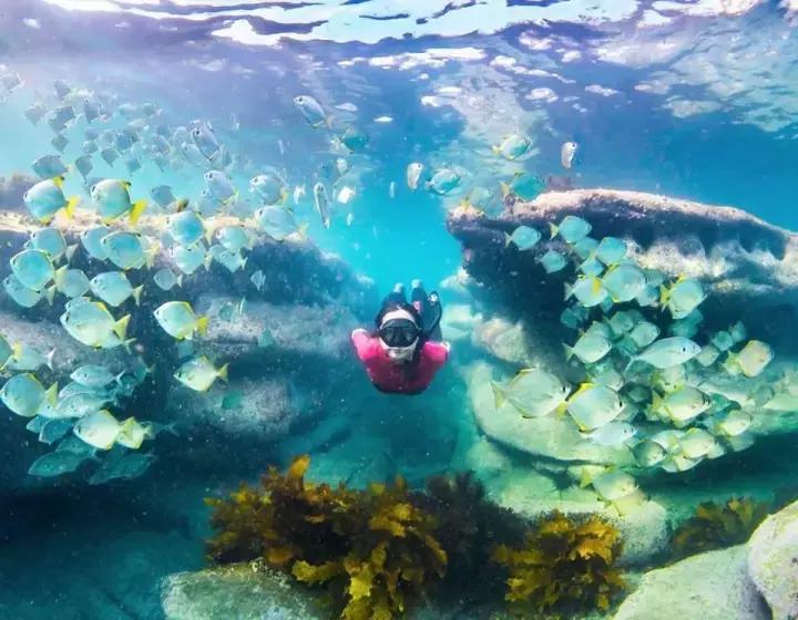 这十个成熟的小建议，送给在澳大利亚单独旅行的你！