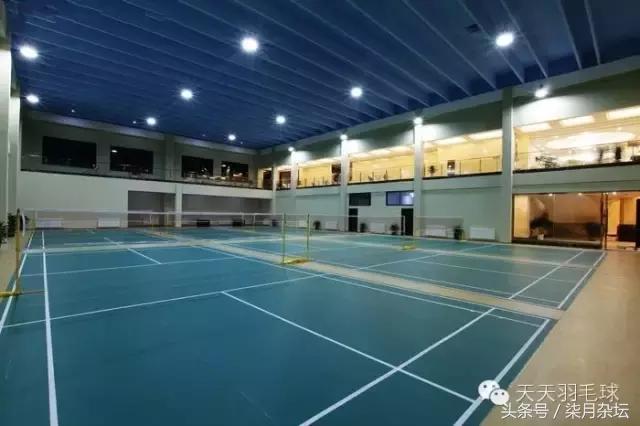 羽毛球跟腱断裂需要多久恢复,羽毛球跟腱杀手