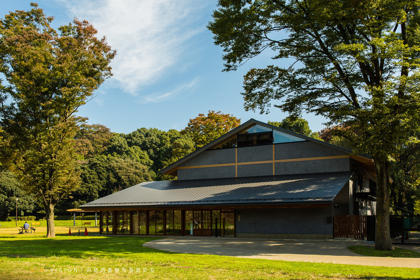 去东京玩用什么攻略,东京攻略东京