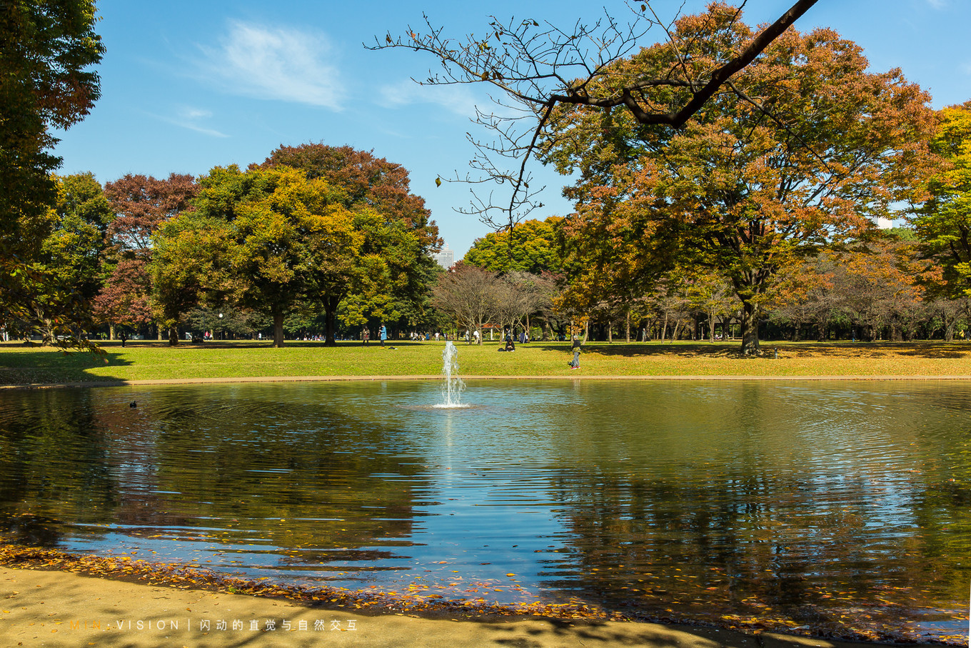 去东京玩用什么攻略,东京攻略东京