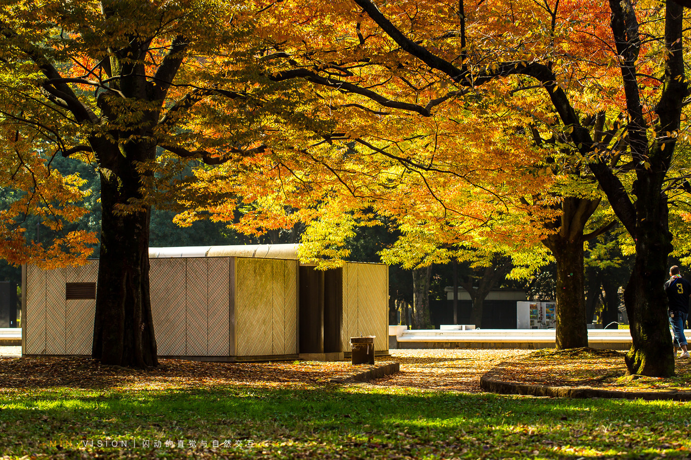 去东京玩用什么攻略,东京攻略东京