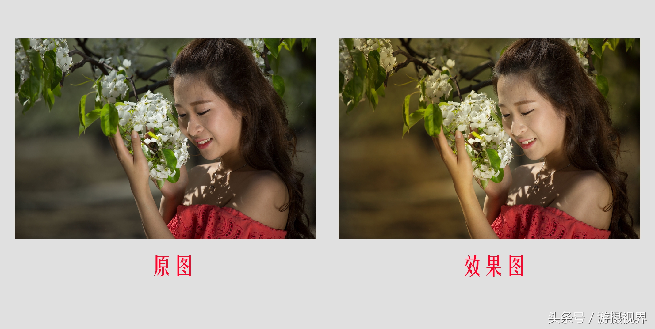 指划修图snapseed教程二次曝光,指划修图和snapseed是一回事吗