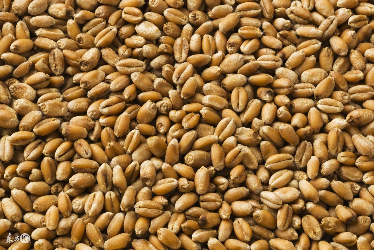 适合糖尿病人吃的五谷馒头做法,糖尿病人适合吃的五谷豆浆配方