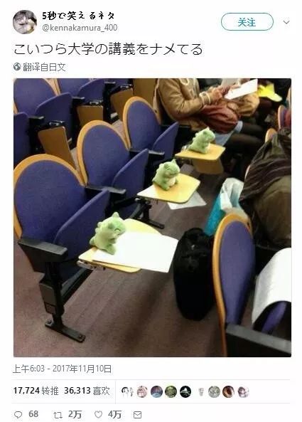 「不正确周报」第四十期:动物世界特辑:挂狗的求生之路