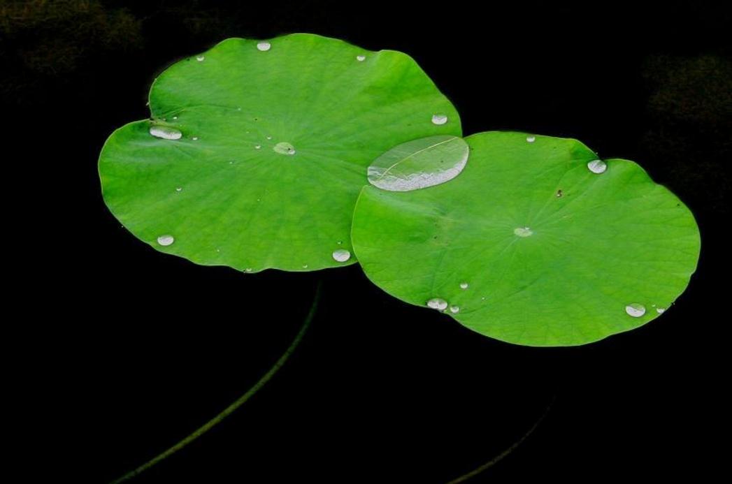 做人别太奸早晚得翻船,做人一定要当心一点