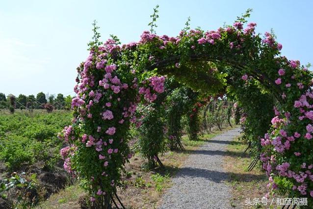 上海最新十大免费景点推荐,上海最新十大免费景点推荐一下