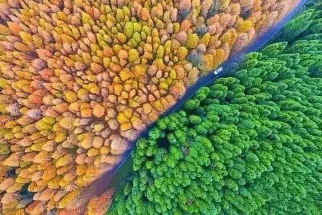 重庆让人着迷的城市,重庆一个充满火锅味的城市