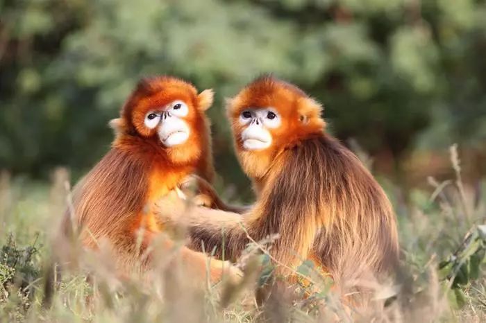 上海各个景点路线图,上海地铁沿线景点大全游上海必备