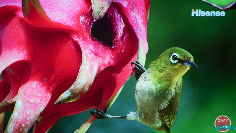 寰哺m1鎶曞奖璇勬祴,寰哺鎶曞奖m1f1瀵规瘮