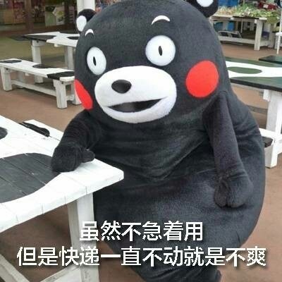 王卫顺丰快递是怎么来的,顺丰快递王卫谈为什么快