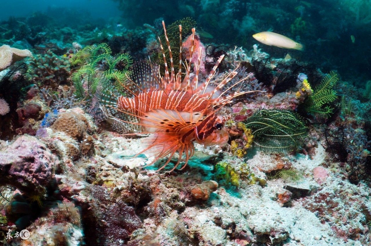 广东峡谷旅游景点,广东的大峡谷旅游景点