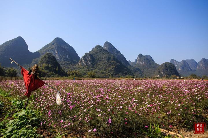 2021阳朔遇龙河竹筏各段漂流价格,阳朔杨堤到兴坪和遇龙河漂流区别