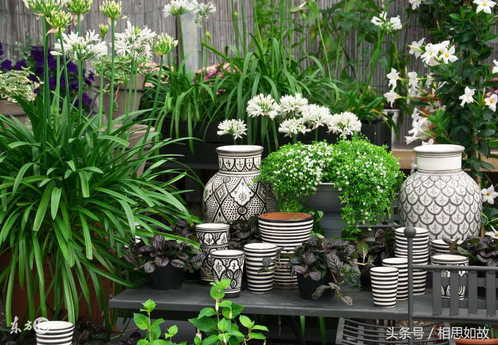 冷门暴利创业小程序是什么,月入万元冷门创业项目连锁