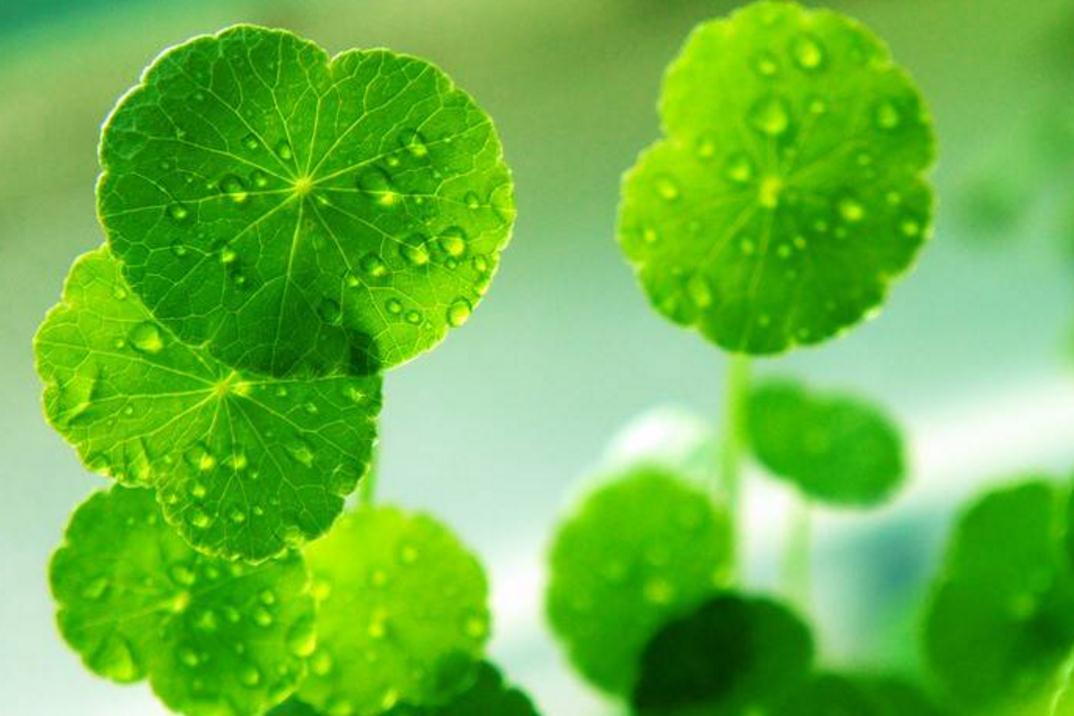 做人别太奸早晚得翻船,做人一定要当心一点