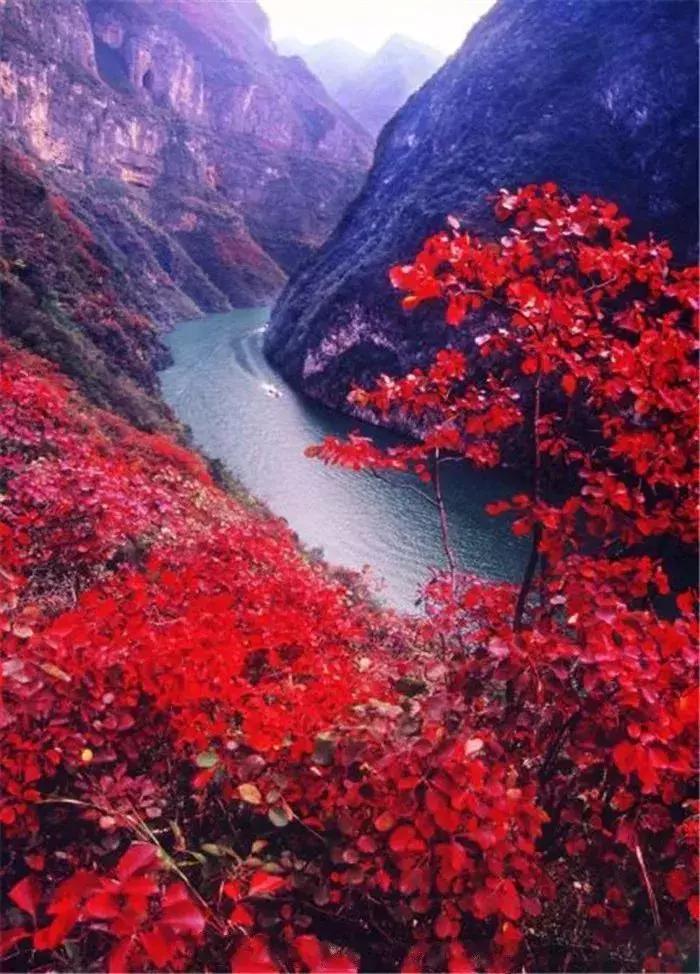 重庆让人着迷的城市,重庆一个充满火锅味的城市