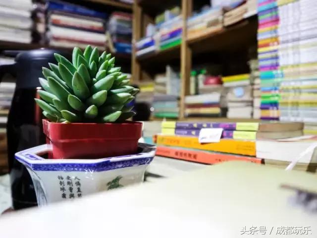 成都比较有意思的书店,成都哪些书店值得推荐