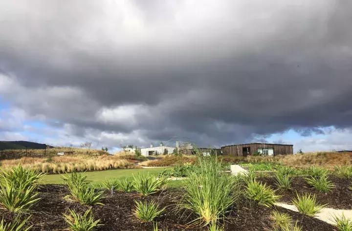 他们有钱，会玩，没有中产焦虑