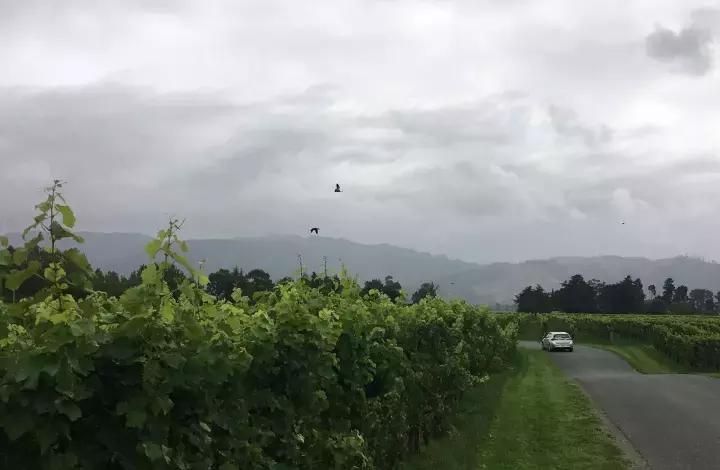 他们有钱，会玩，没有中产焦虑