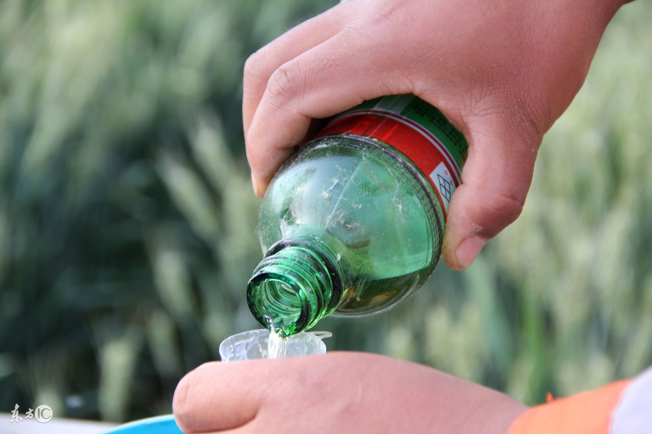 农药种植小技巧视频,种植农作物如何提升产量