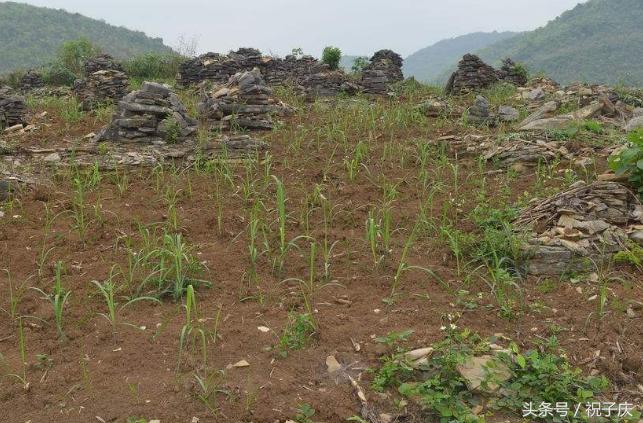 农民将一无所有?有这3种农房和3种耕地的小心,明年是个难坎儿!