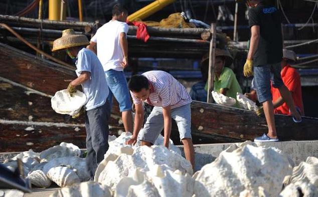 砗磲玉石怎么鉴别,海南玉化鉴定视频大全