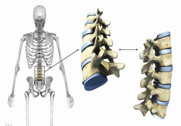 306医院骨科专家,306医院骨科挂号