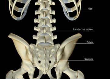 306医院骨科专家,306医院骨科挂号