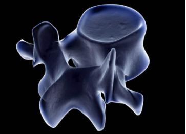 306医院骨科专家,306医院骨科挂号