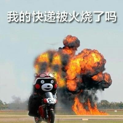 王卫顺丰快递是怎么来的,顺丰快递王卫谈为什么快