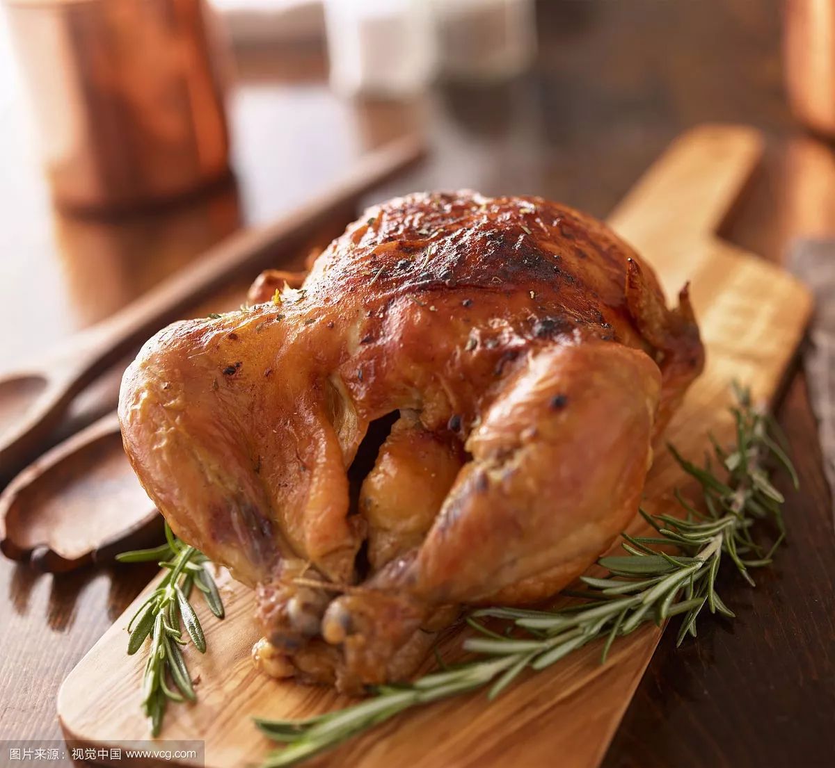 「不正确周报」第四十期:动物世界特辑:挂狗的求生之路