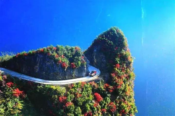 重庆让人着迷的城市,重庆一个充满火锅味的城市