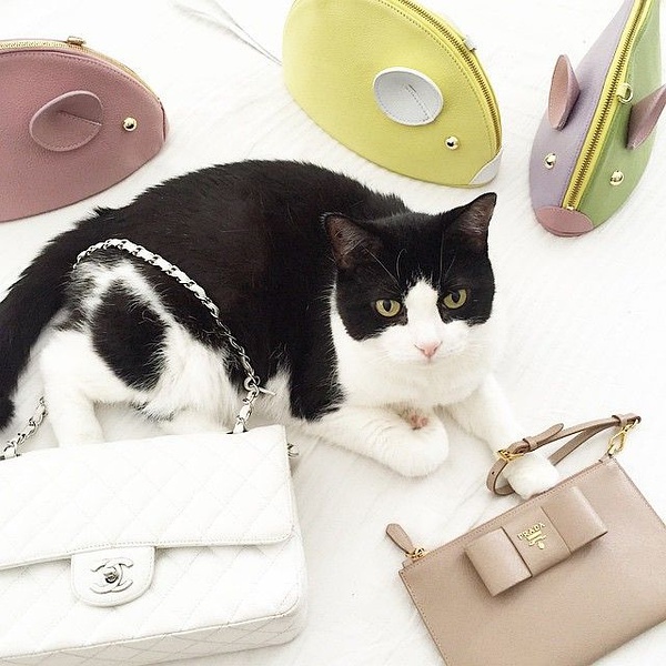 好品味都是金钱堆出来的,奢侈是钱堆出来的品味