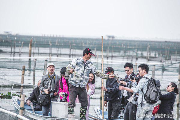 涨知识螃蟹的这几个地方不能吃,吃什么螃蟹不能吃什么