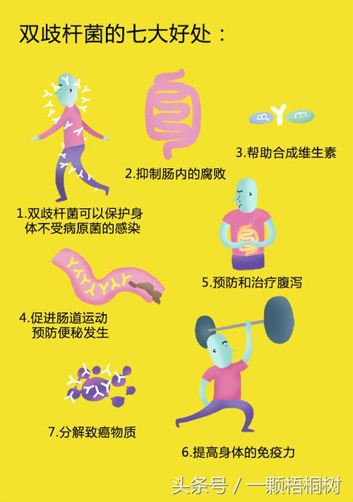 酸奶的热量多少对减肥喝有影响吗,君乐宝简醇0蔗糖酸奶可以减肥吗