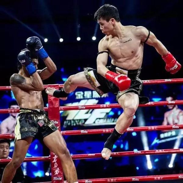 中国自由格斗高手排名,中国自由搏击十大名将