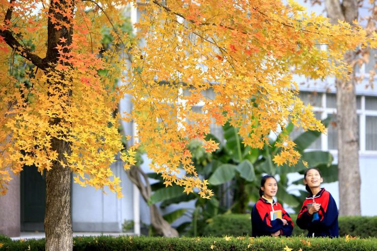 金秋沂南，诗意流淌有那么一群爱美的人，把秋季沂南送到你面前