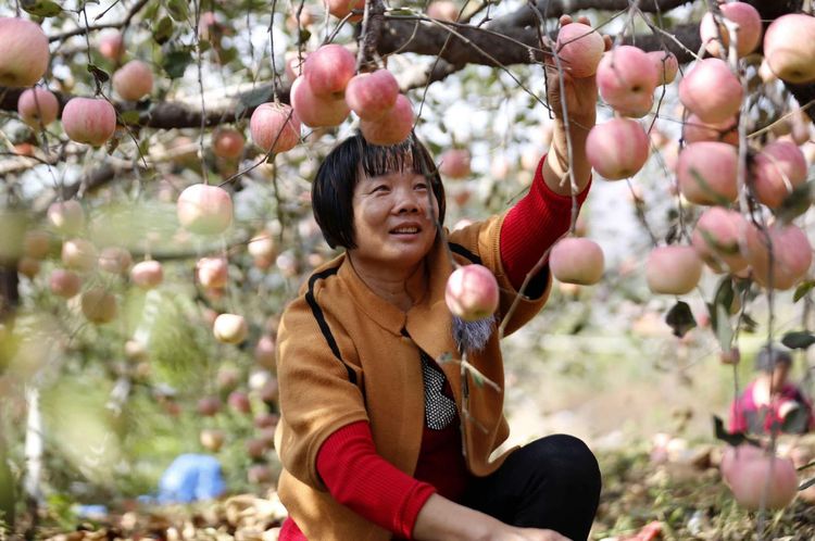 金秋沂南，诗意流淌有那么一群爱美的人，把秋季沂南送到你面前